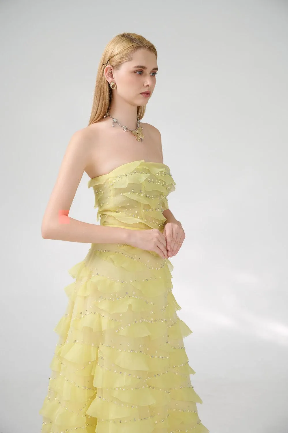 Arjun Strapless Stone Organza Floor Length Dress