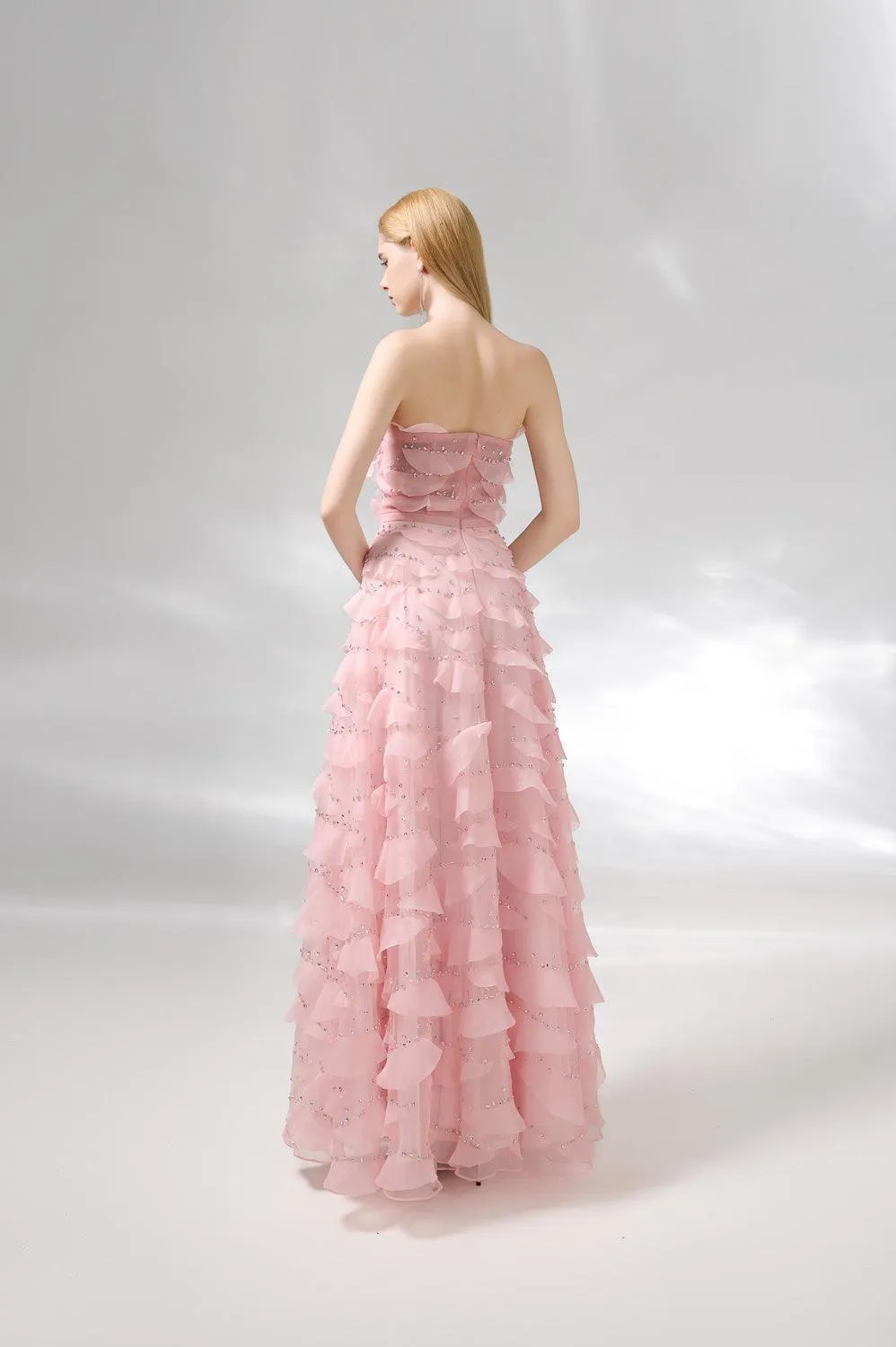 Arjun Strapless Stone Organza Floor Length Dress