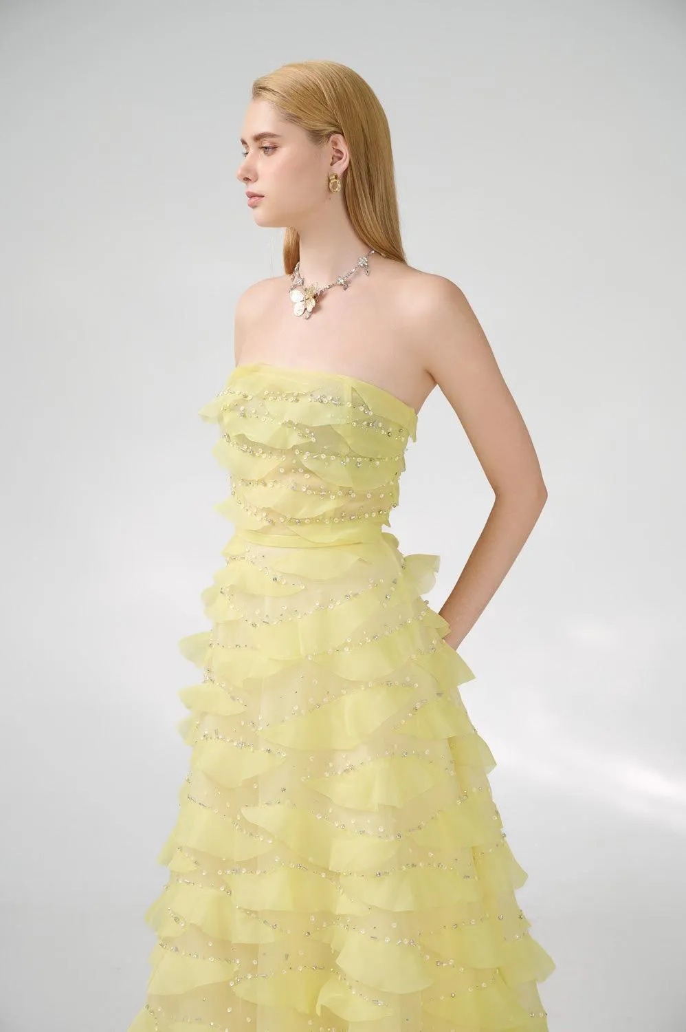 Arjun Strapless Stone Organza Floor Length Dress