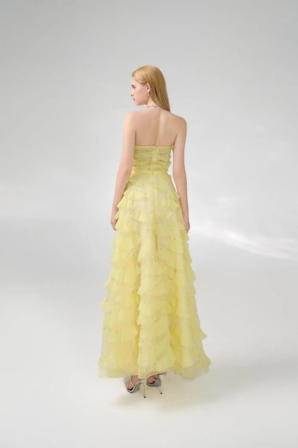 Arjun Strapless Stone Organza Floor Length Dress