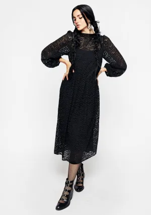 Blackwellia Lace Midi Dress