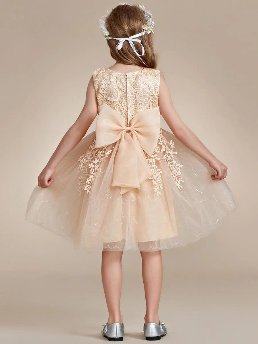 Elegant Lace Sleeveless Embroidered A-Line Flower Girl Dresses