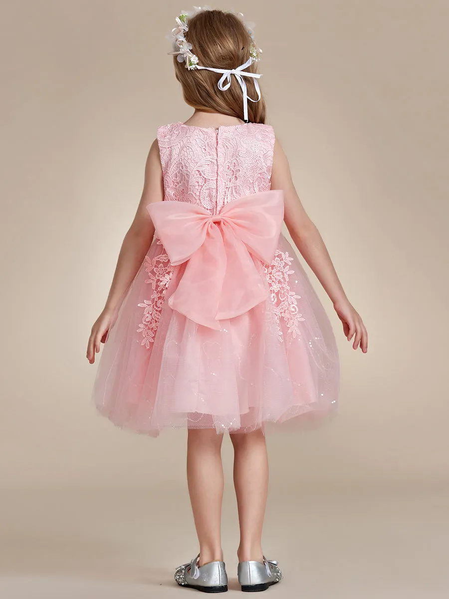 Elegant Lace Sleeveless Embroidered A-Line Flower Girl Dresses