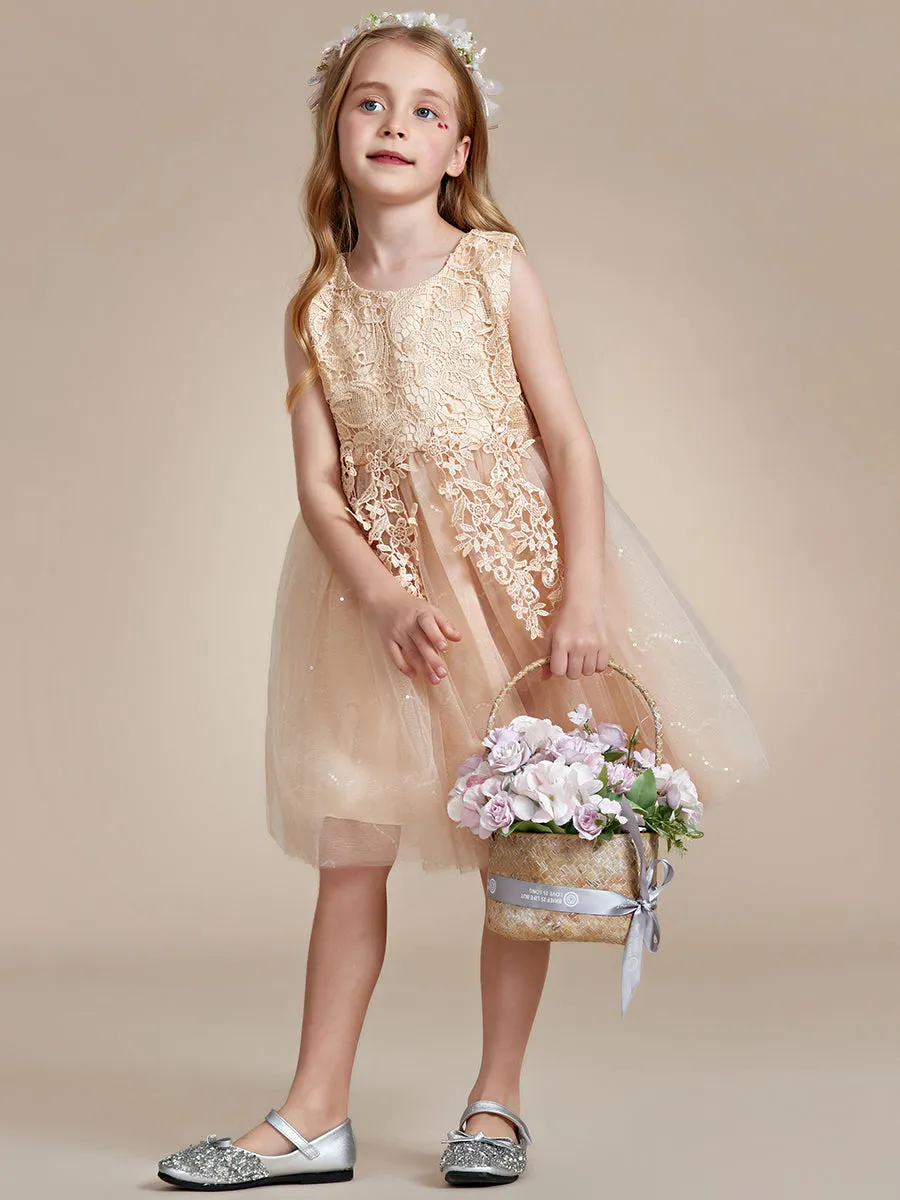 Elegant Lace Sleeveless Embroidered A-Line Flower Girl Dresses