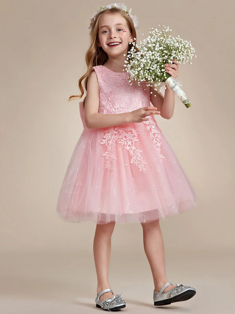 Elegant Lace Sleeveless Embroidered A-Line Flower Girl Dresses