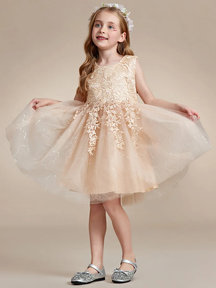 Elegant Lace Sleeveless Embroidered A-Line Flower Girl Dresses